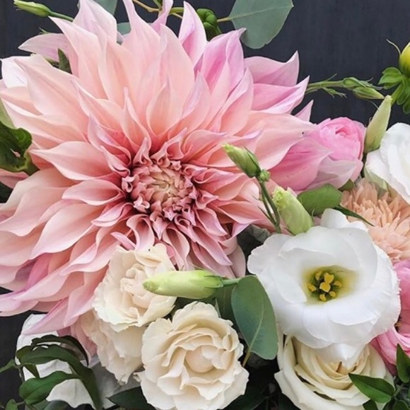 Meet your Posher, Kristen - Picture 1 of 1